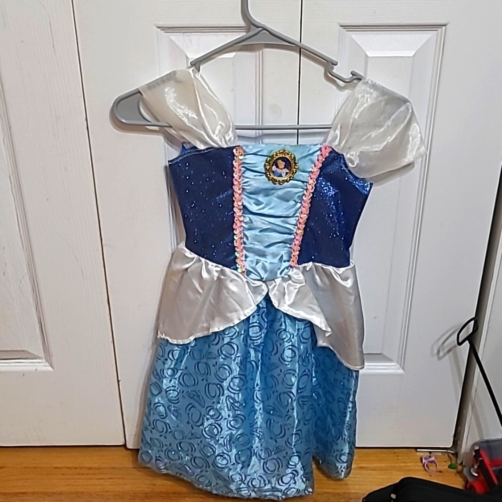Girls Cinderella costume dress.